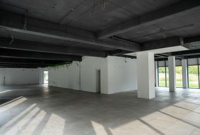 Spațiu comercial, de 56 mp, în Lipovei - 1