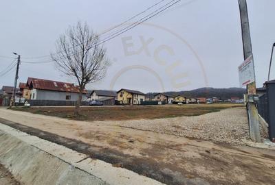 Teren 500-800 mp Braileni-Valea Ursului parcelabil - 2