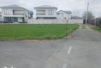 Teren de 891 mp, în Dragomirești-Vale - 5