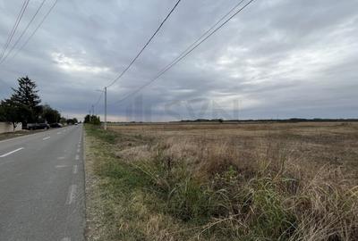 Teren agricol intravilan de 1700 mp, în Merii - 8