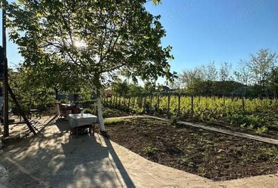 Casă cu Teren 1167 Mp în Băneasa - 7