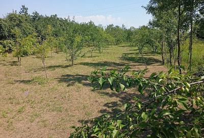 Casă cu 3 camere cu Teren 1700 Mp în Jugureni - 1