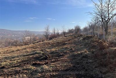 Teren Intravilan La Strada Principala - Barnova - 7