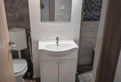 Apartament cu 2 camere decomandat în Viforâta - 4