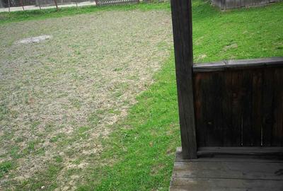 Teren de 800 mp, în Borca - 2