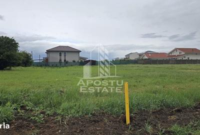 Spațiu comercial, în Ghiroda - 1
