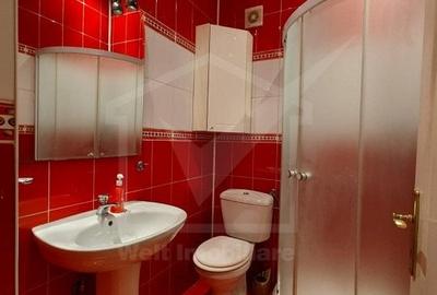 Casa eleganta in cartierul Grigorescu, zona Pietei 14 Iulie - 10