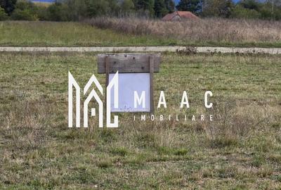 Teren agricol extravilan de 2900 mp, în Șelimbăr - 3