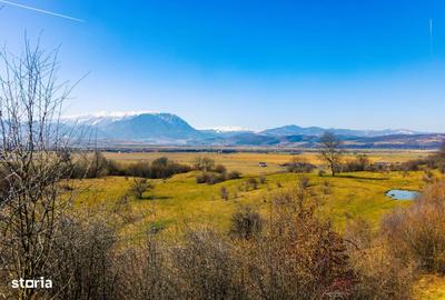 Teren de 60100 mp, în Central - 5