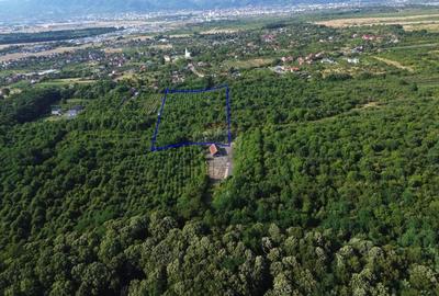 OPORTUNITATE PENTRU DEZVOLTATORI Teren de vanzare - Satu Nou de Jos - 2