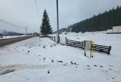 Teren Construcții intravilan de 5000 mp, în Nord - 13