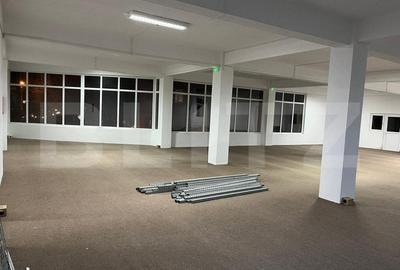 Birou, de 225 mp, în Luncă - 4