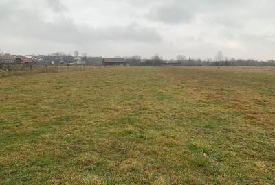 Teren Construcții extravilan de 2600 mp, în Horodnic de Sus - 1