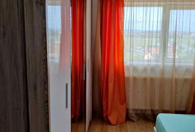 Apartament cu 2 camere semidecomandat în Tilișca - 7