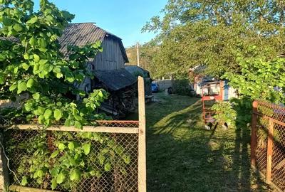 A 13. 20000 mp teren ?i 3 constructii casa in judetul Bacau - 6