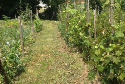 Casă în Central - 8