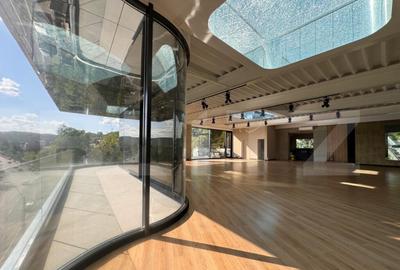 Spatiu modern in cladire unicat - 3