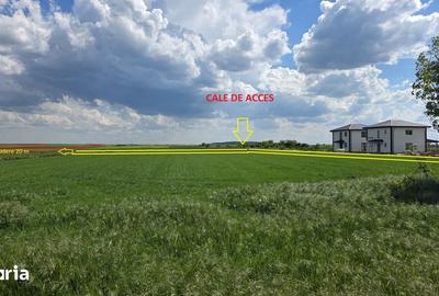 Teren de 9600 mp, în Niculești - 10