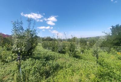 Casuta tip foisor, 30 mp, pe un teren de 3.000 mp, vedere panoramica, Mihaiesti - 8