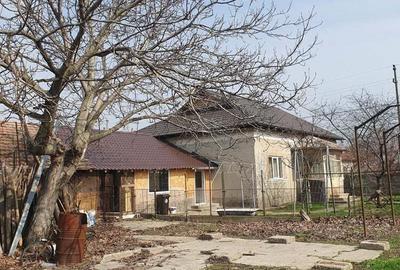 Casă cu 4 camere cu Teren 2040 Mp în Vișina - 5