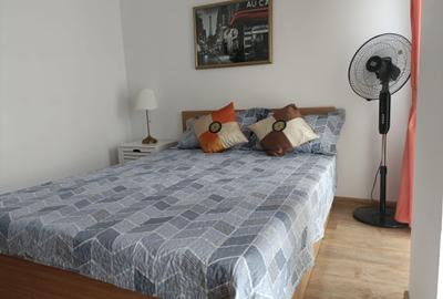 Apartament cu 2 camere nedecomandat, mobilat în Nicolina - 3