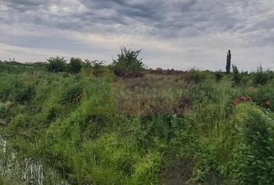 Teren în Corbeanca - 5