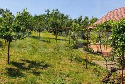 Casă cu 2 camere cu Canalizare în Dăbâca - 2