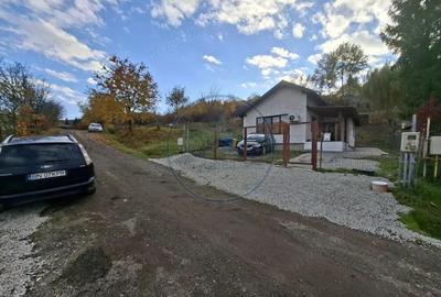 Casa parter zona Valea Jelnei - 10