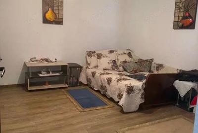 Casa 133 mp utili, 3300 mp teren, Ciutura - 16