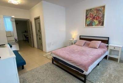 Garsonieră, mobilată în Ultracentral - 2