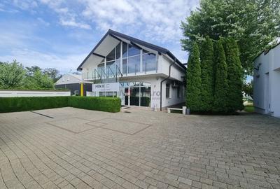 Casă individuală cu 15 camere cu Piscina în Mogoșoaia - 21