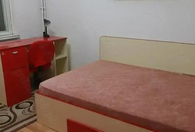 Apartament 2 cam Lapus Arges - Sucpi - 4