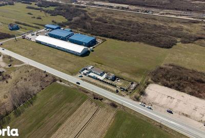 Teren de 7194 mp, în Carașova - 13