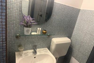 Garsonieră decomandată, mobilată în Eminescu - 22