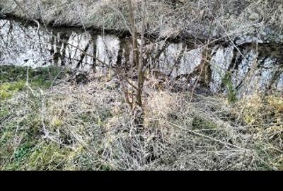 Teren agricol extravilan de 10600 mp, în Dieci - 7