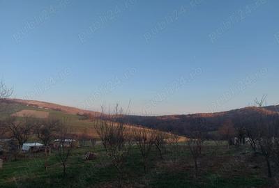 Casă cu 3 camere cu Teren 1400 Mp în Fâșca - 2