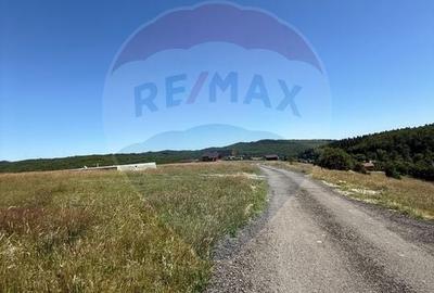 Teren agricol extravilan de 3757 mp, în Păltinoasa - 11