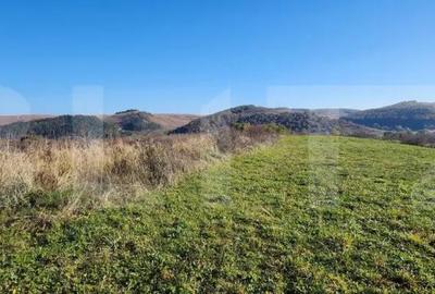 Teren de 963 mp, în Gilău - 5