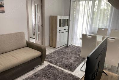 Apartament cu 2 camere nedecomandat în Central - 9
