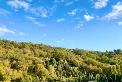 Apartament cu 2 camere în Grigorescu - 8