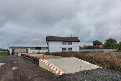 Hala pentru depozitare si sediu administrativ in Vladimirescu - 2