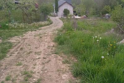 Casa batraneasca de Vanzare - 5