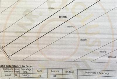 Teren de 10000 mp, în Albota