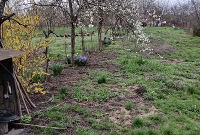 Casa si gradina de vanzare in Hitias la strada principala - 6