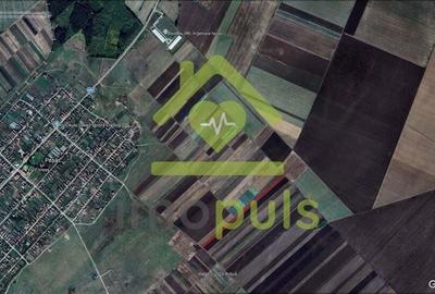 ? Teren extravilan la Pesac de 8.000 mp (1,4 euro/mp)? - 3