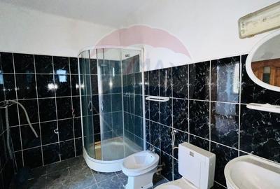 Casă cu 4 camere cu Teren 1367 Mp în Sântandrei - 10