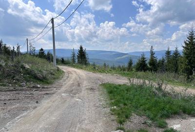 Teren de 1000 mp, în Muntele Băișorii - 3