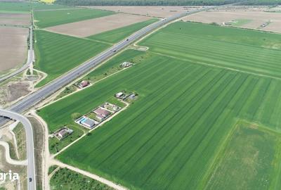 Teren de 40578 mp, în Ciorogârla - 9