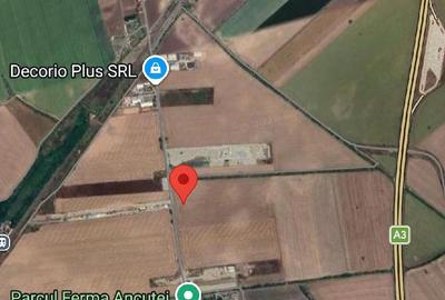 Teren de 1000 mp, în Căciulați - 1