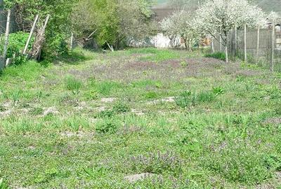 Casă cu 3 camere cu Teren 700 Mp în Adămuș - 9